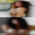 Dogging gallery