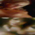 Wife swapping Helena