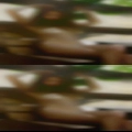 Fuck Winchester